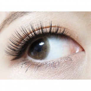 RICH STANDARD Premium TokyoBrown 日抛10片裝